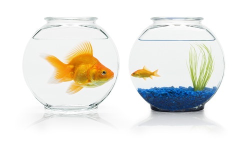 Scarcity and Abundance Thinking
